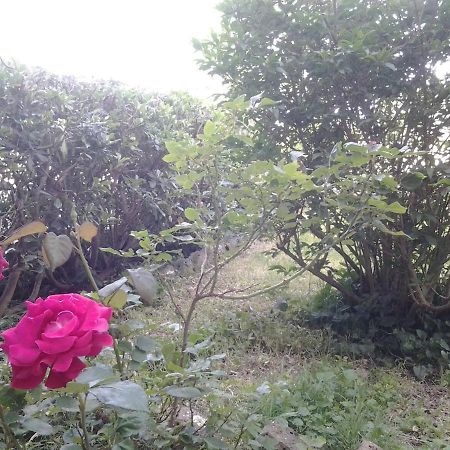 Casa Bindi Triana Ngoại thất bức ảnh